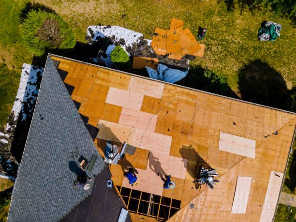 Best Storm Damage Roof Repair  in Greenfield, IL