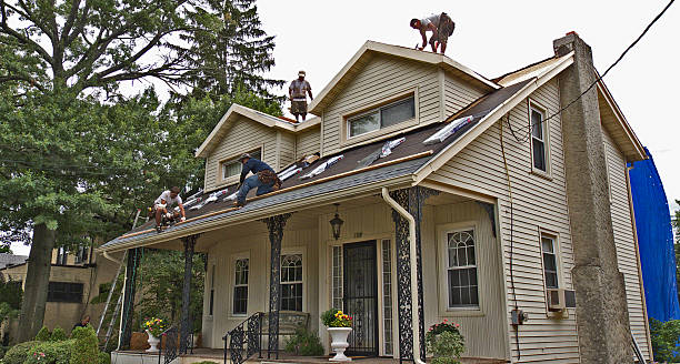 Best Roof Leak Repair  in Greenfield, IL