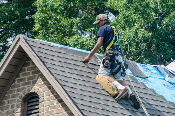 Best Roof Maintenance Services  in Greenfield, IL