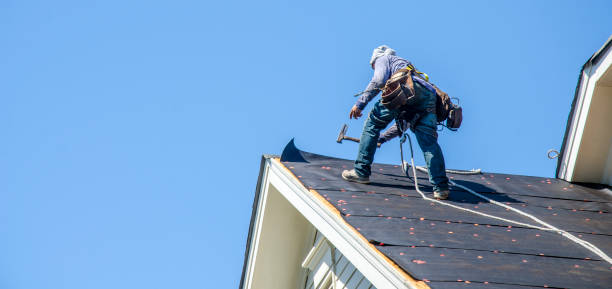 Best Roof Gutter Cleaning  in Greenfield, IL